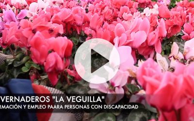 Vídeos de La Veguilla
