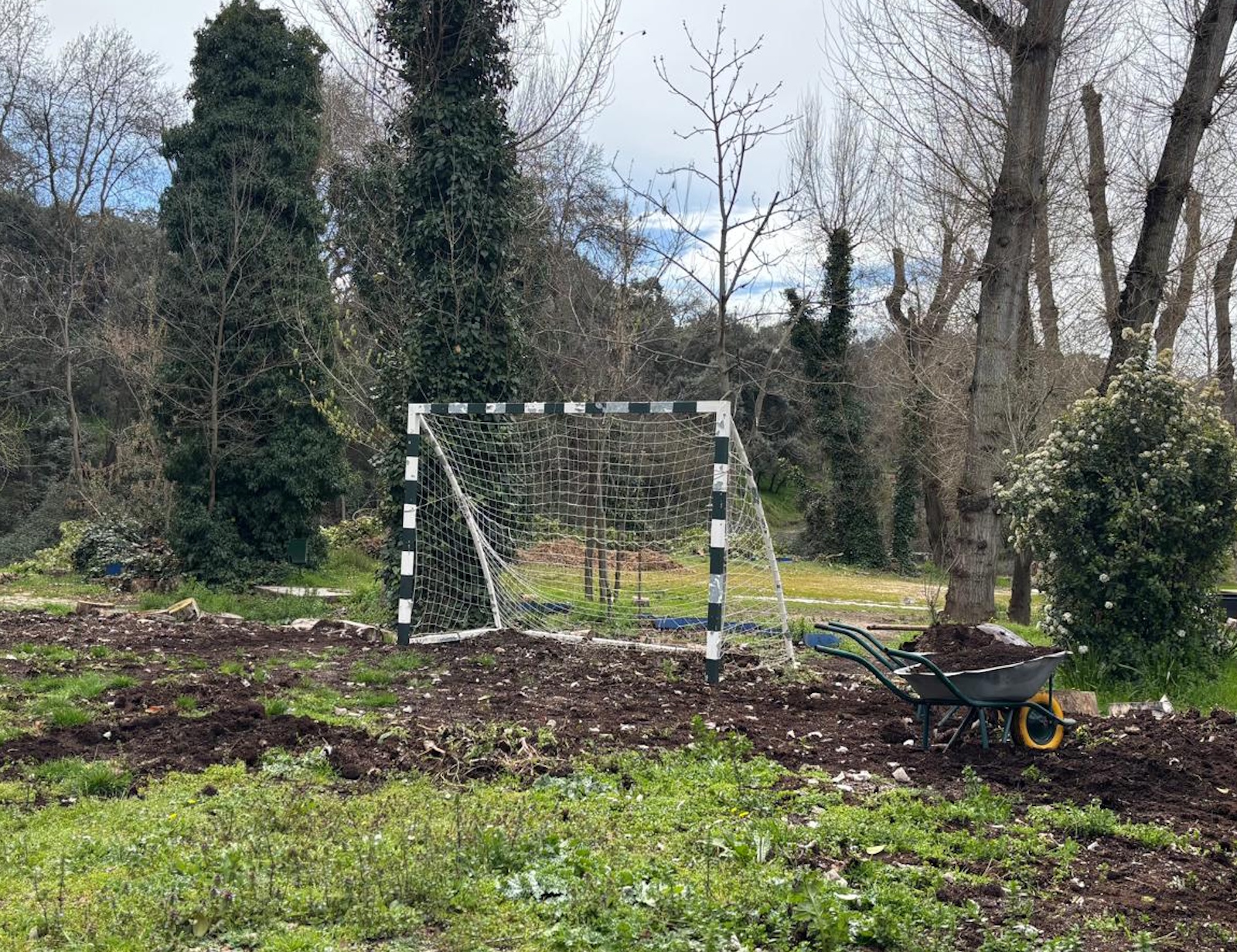 pista-futbol pista-futbol